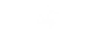 IPTV Smarters Pro